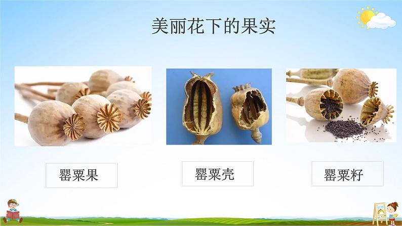 中小学主题班会队会活动《珍爱生命,远离毒品安全教育》教学课件公开课第5页