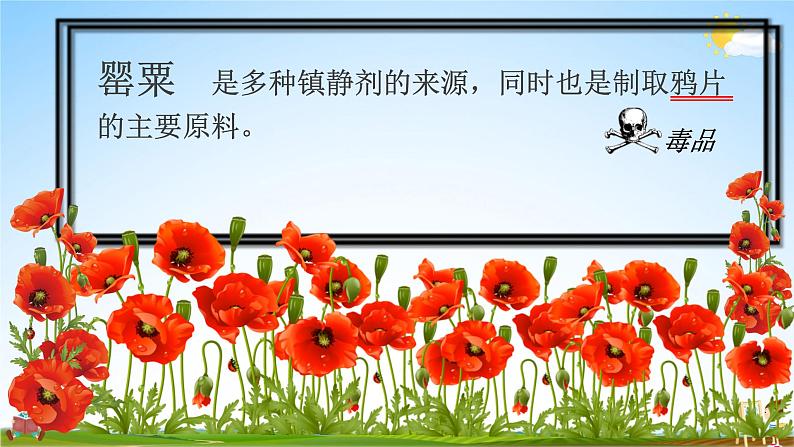 中小学主题班会队会活动《珍爱生命,远离毒品安全教育》教学课件公开课第6页