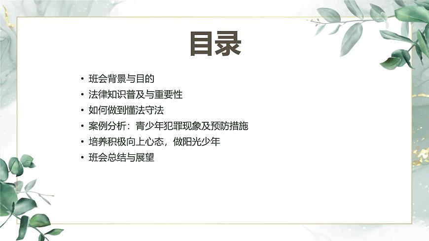 做懂法好少年主題班會(huì)課件第2頁