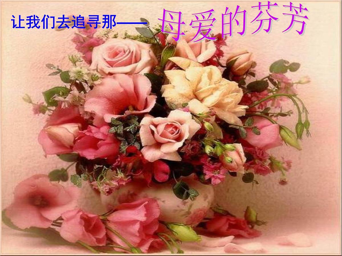 重庆市合川区钱塘镇初级中学-主题班会-母爱【课件】第3页