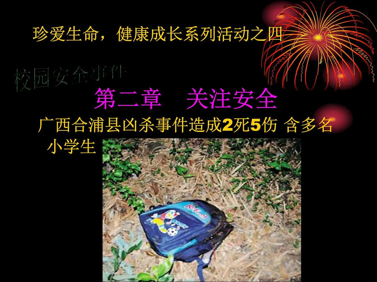安全教育主题班会课件:生命诚可贵,安全大于天第7页