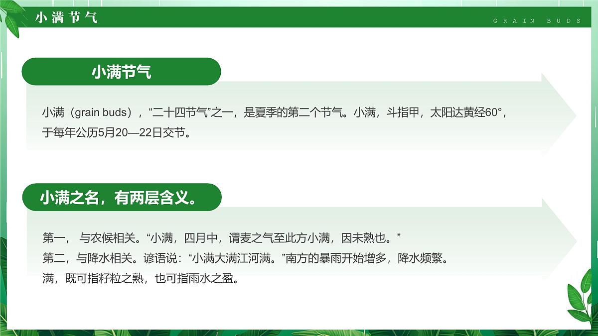 绿色清新风二十四节气之小满课件第4页