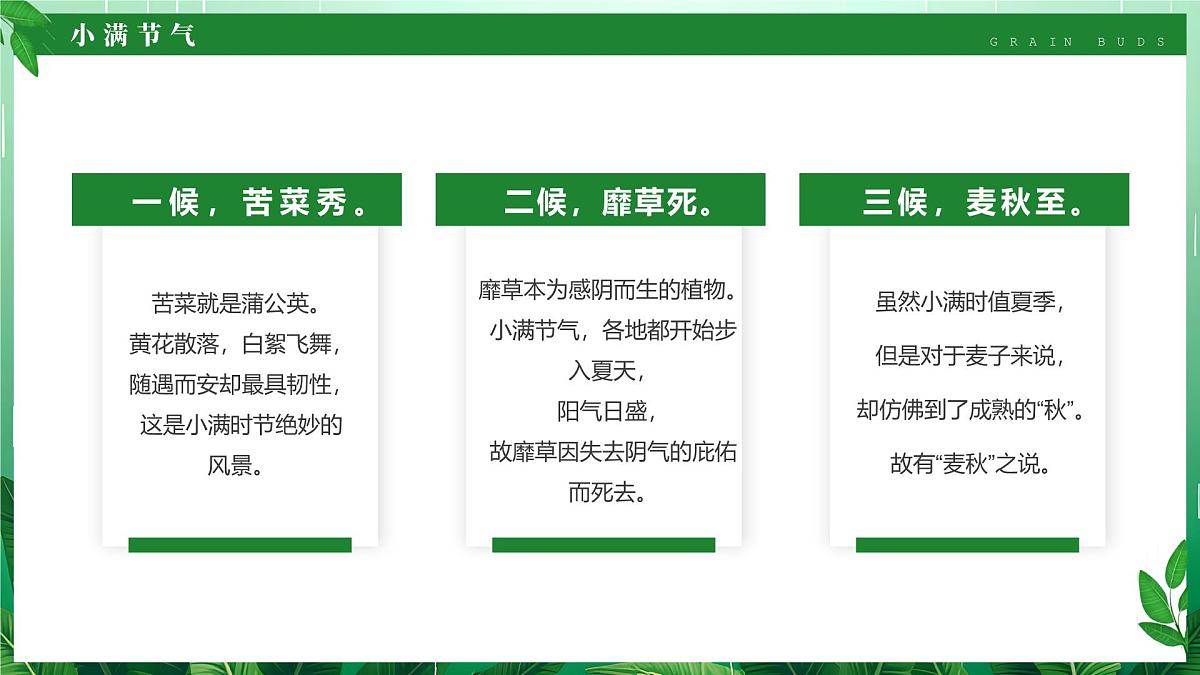 绿色清新风二十四节气之小满课件第6页