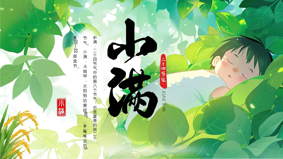 绿色小满节气介绍 绿色画风二十四节气之小满课件第1页