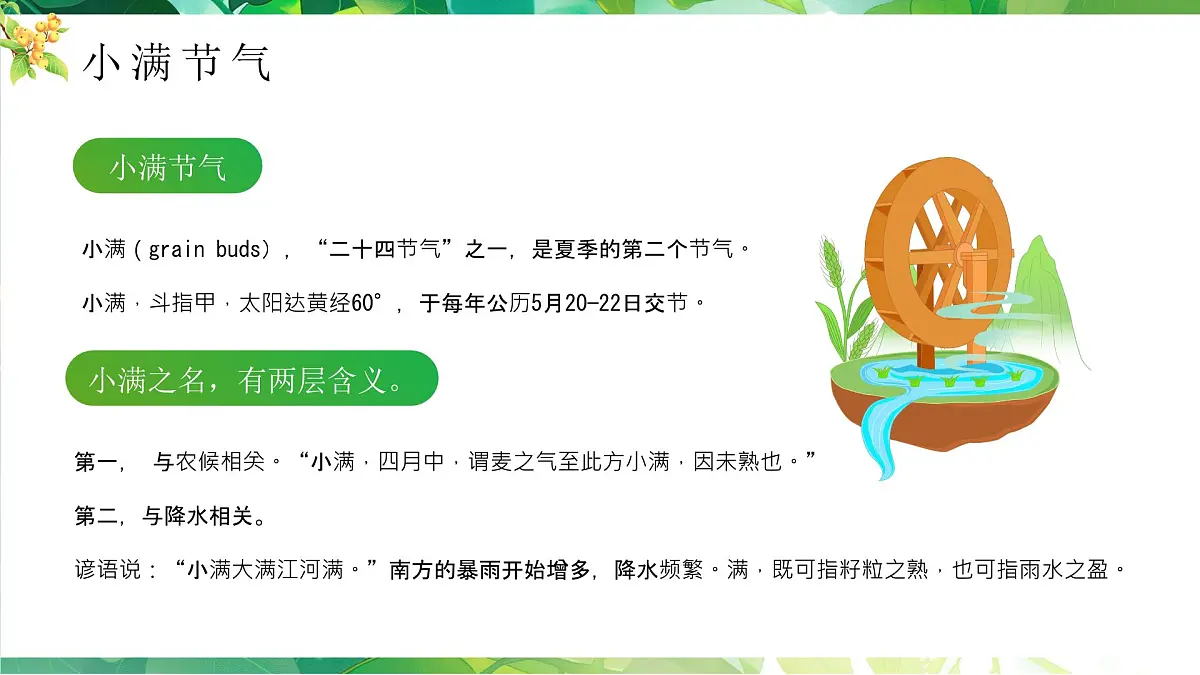 绿色小满节气介绍 绿色画风二十四节气之小满课件第4页