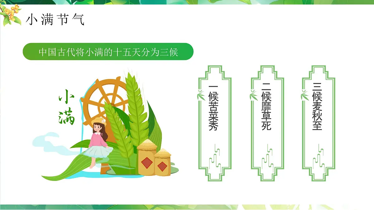 绿色小满节气介绍 绿色画风二十四节气之小满课件第5页