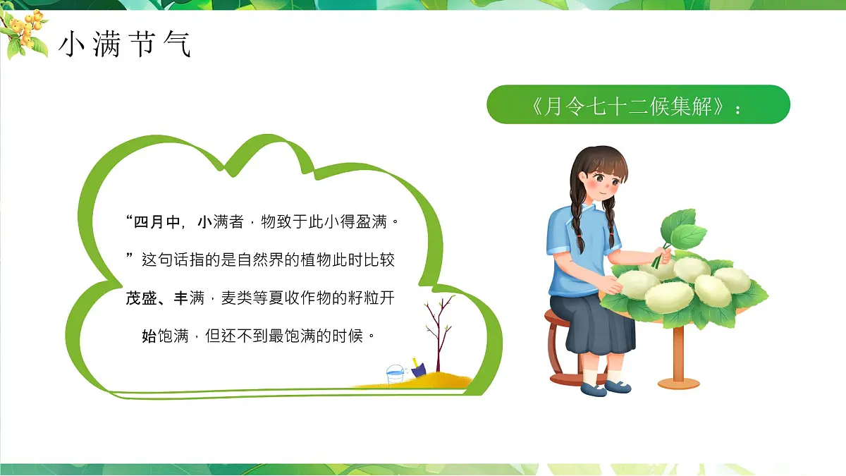 绿色小满节气介绍 绿色画风二十四节气之小满课件第7页