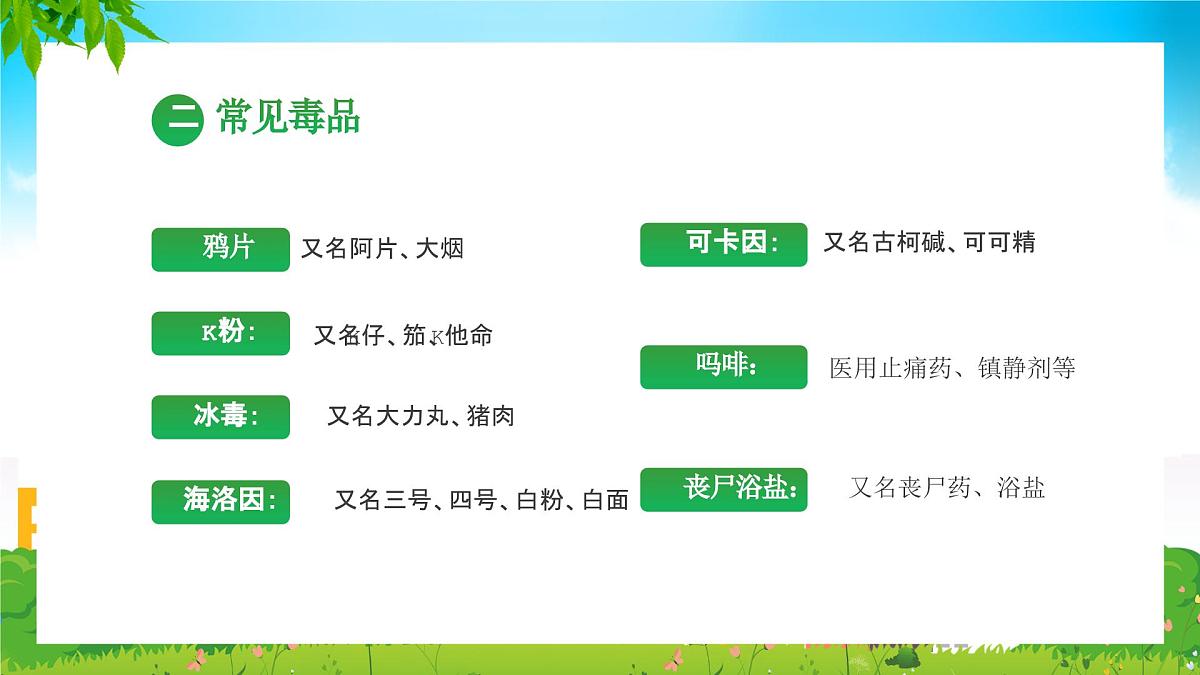 湖北省荆州市公安县南平镇初级中学-主题班会-珍爱生命远离毒品【课件】第8页