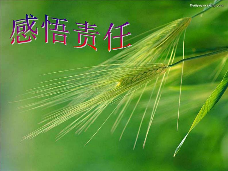 主题班会课件:寻找有责任心的我03
