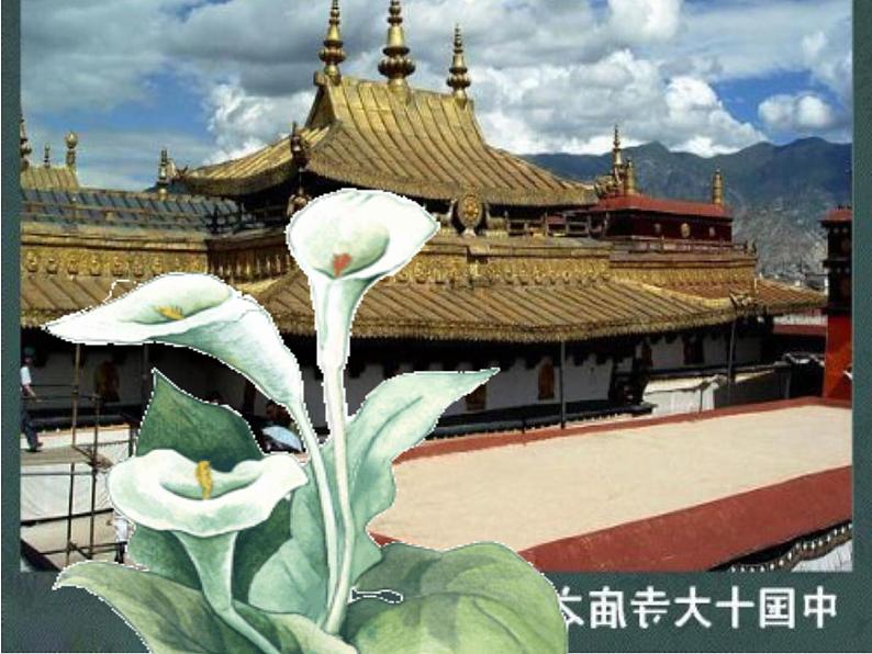 主题班会:心怀感恩,努力超越06