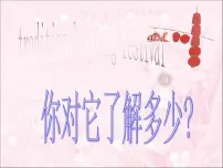 春节主题班会PPT课件：传统春节习俗