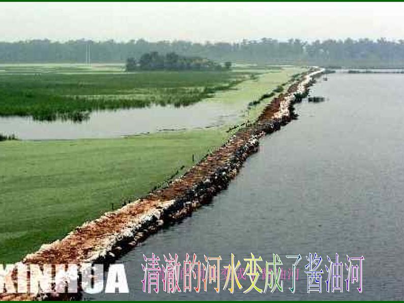 人人参与,保护生态环境 主题班会课件第2页