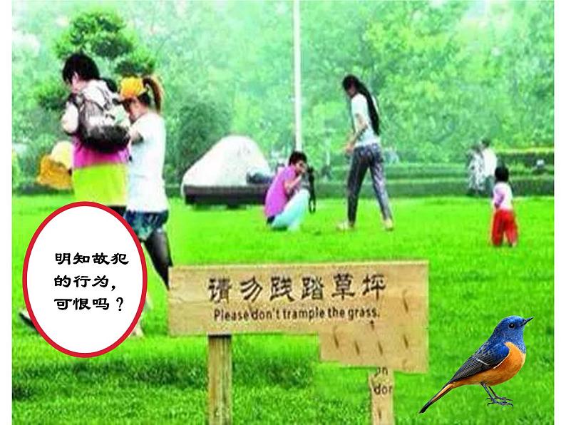 班会课件:文明行为 (共24张PPT)06