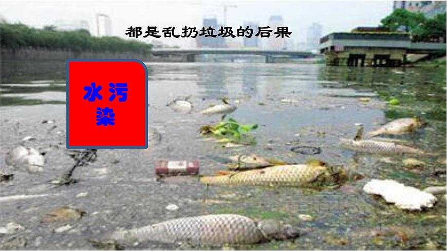 保護(hù)環(huán)境美化校園主題班會第7頁