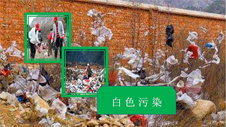 保護(hù)環(huán)境美化校園主題班會第8頁