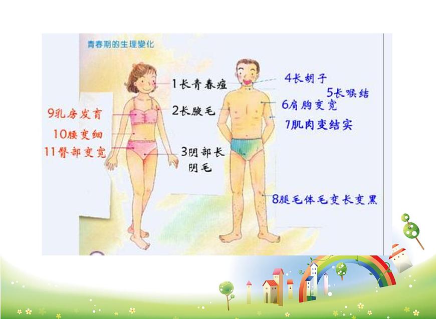 怎樣當(dāng)好自己的青春期醫(yī)生 主題班會(huì)PPT課件第8頁