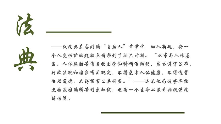 學習民法典，做新時代好少年班會第7頁