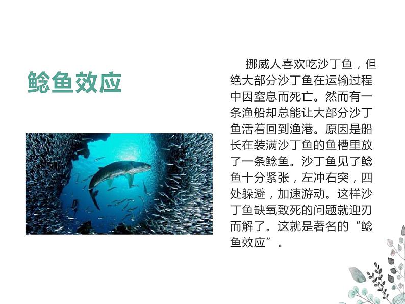 高中生主题班会:敢于竞争,奋勇争先PPT第4页