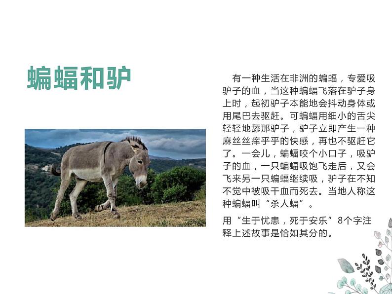 高中生主题班会:敢于竞争,奋勇争先PPT第6页
