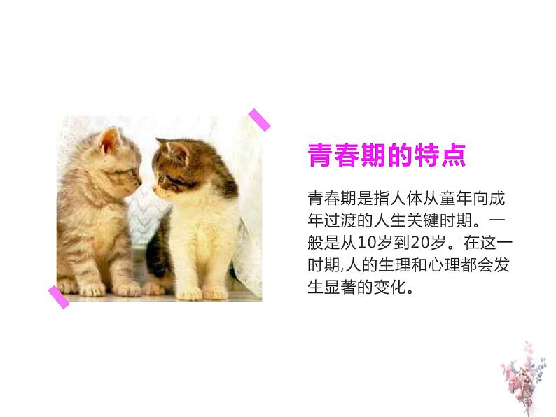 主题班会:中学生早恋教育主题班会PPT07
