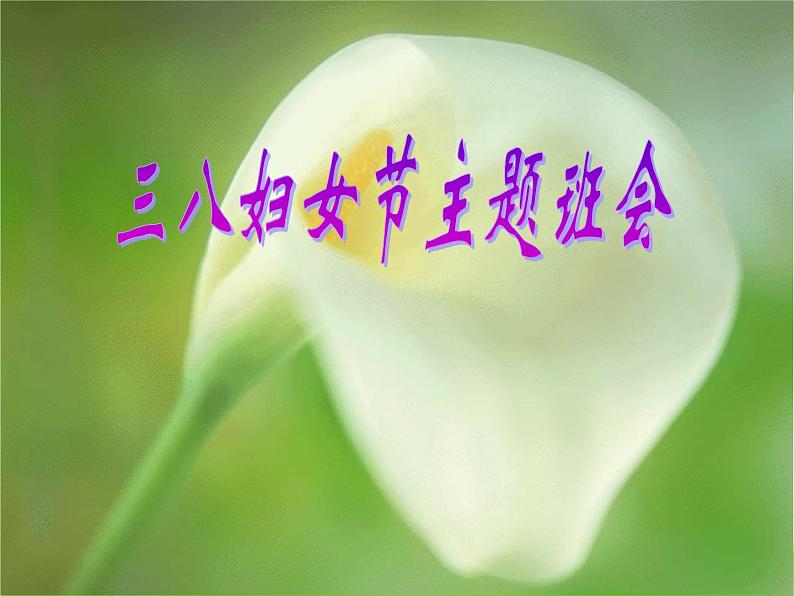 三八妇女节主题班会最新PPT01