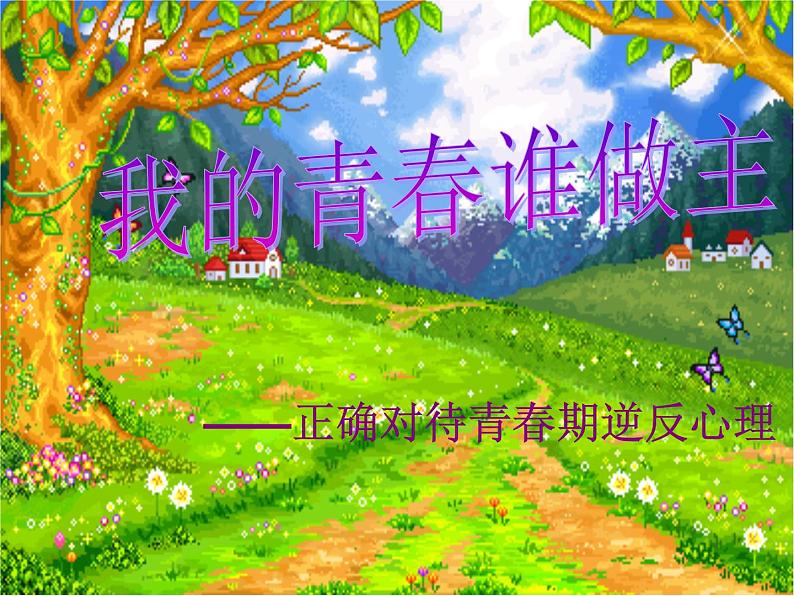 我的青春我做主主题班会01