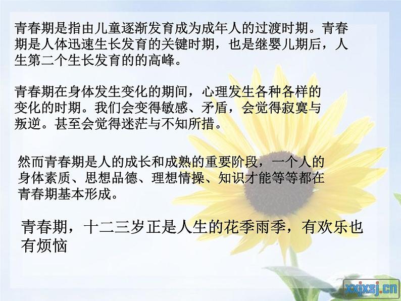 我的青春我做主主题班会05