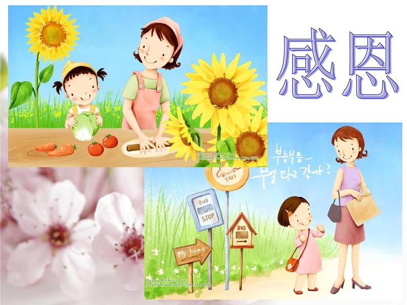 感恩母亲节班会 课件07