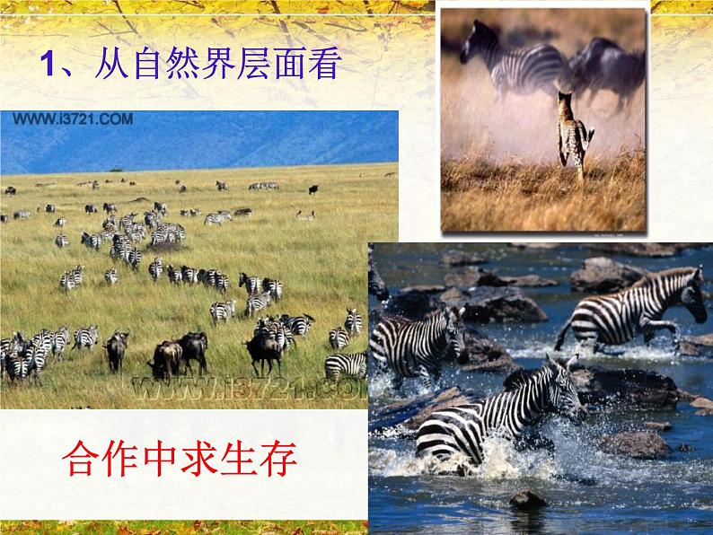 竞争合作主题班会课件第3页