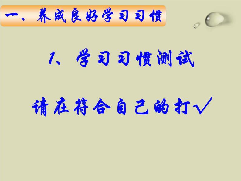 《养成良好习惯-争做文明学生》主题班会课件05