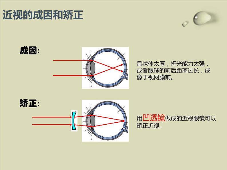 主题班会_预防近视_珍爱光明课件第7页
