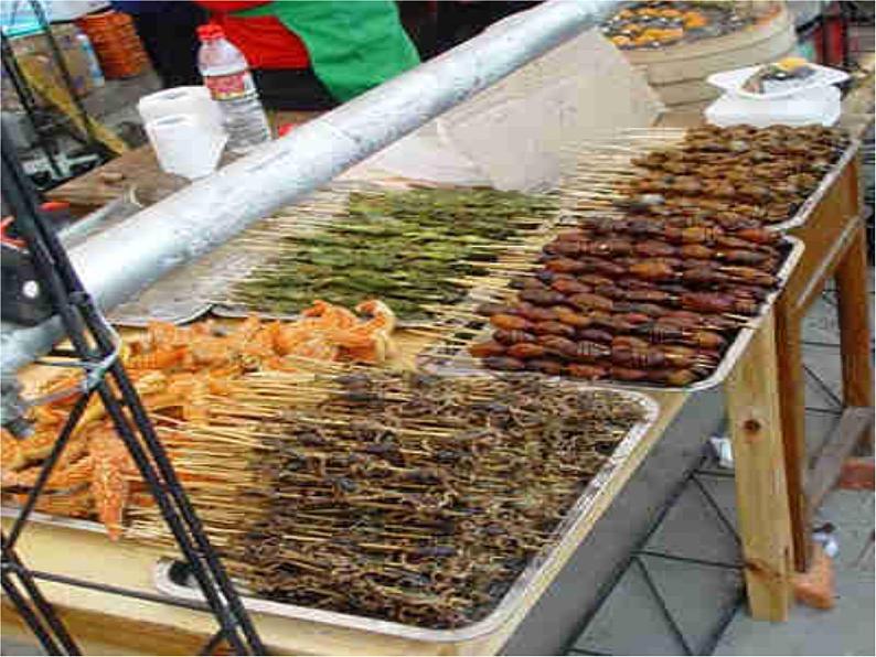 食品安全教育课件08