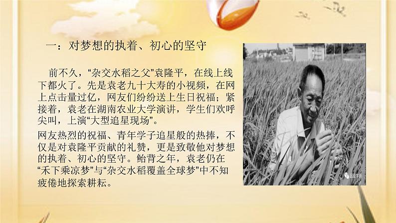 举国悲痛——送别国士袁隆平 主题班会课件(34张PPT)03