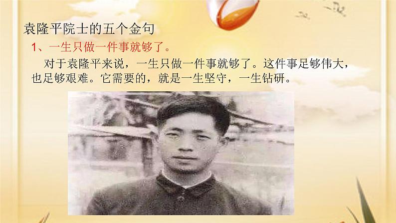 举国悲痛——送别国士袁隆平 主题班会课件(34张PPT)07
