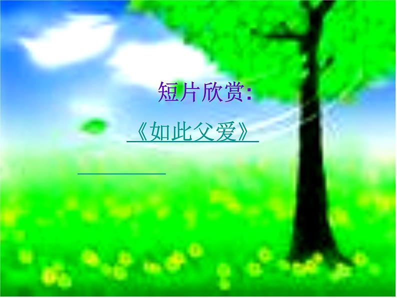 感恩父母课件05