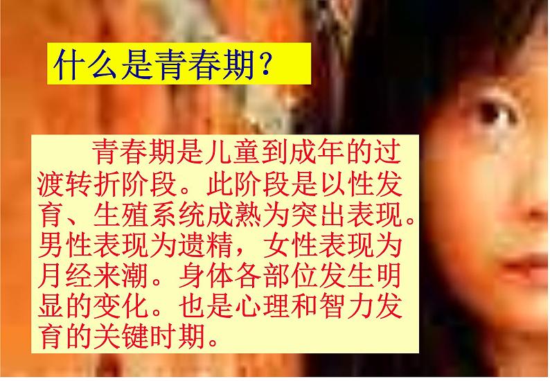 青春期知识1课件02