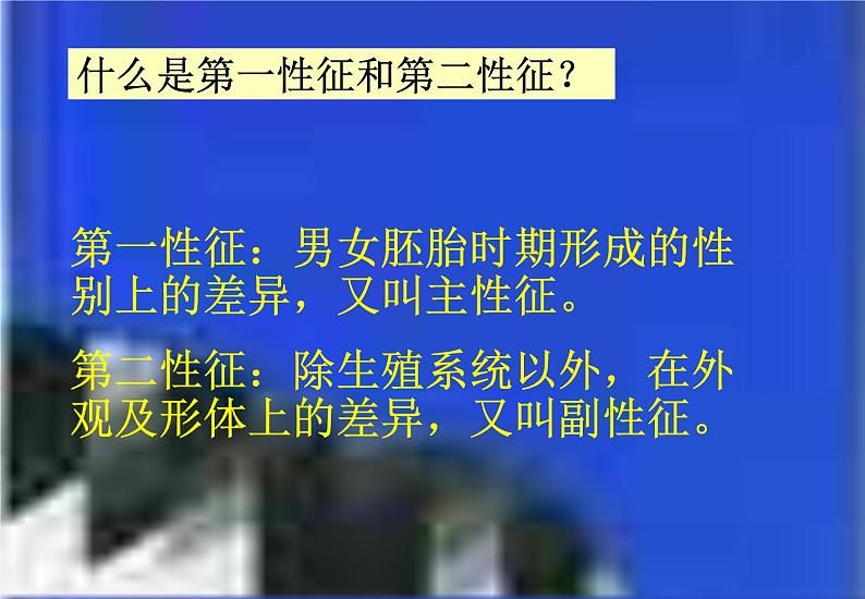 青春期知识1课件03