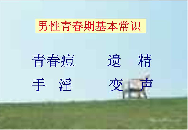 青春期知识1课件05