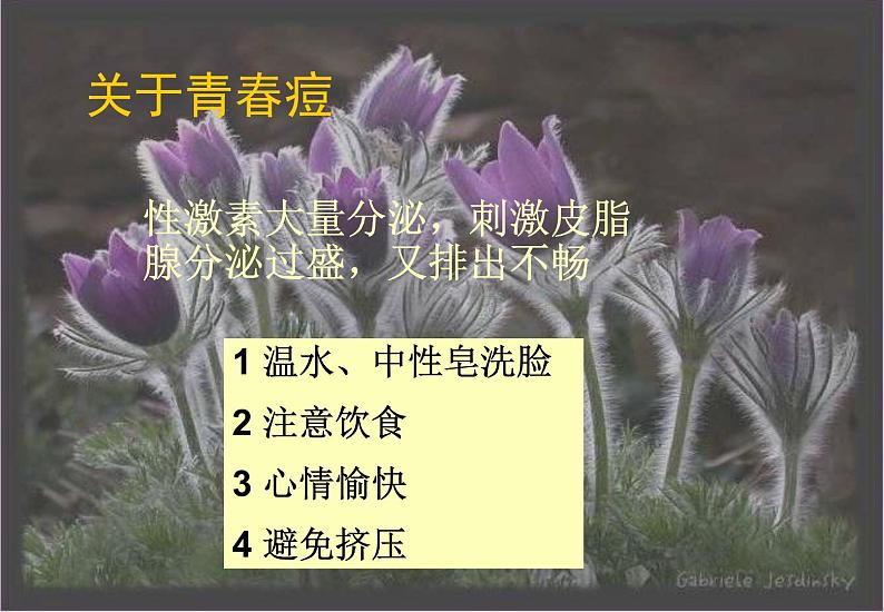 青春期知识1课件06