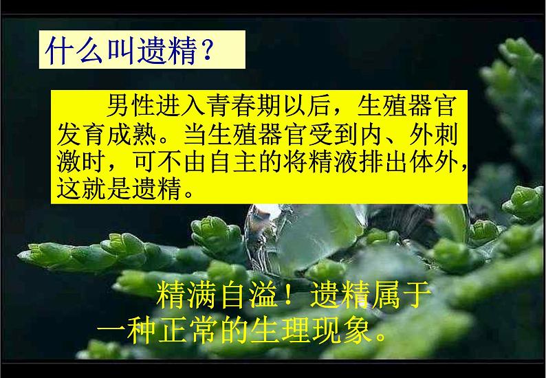 青春期知识1课件07