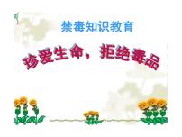 禁毒 班会课件