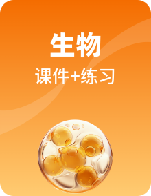 人教版初中生物八年级上册课时练习+整合练习课件