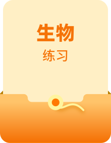 2025届高三一轮复习生物新高考新教材考点规范练多份（Word版附解析）