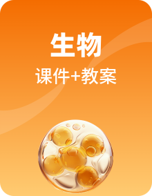 苏科版生物八年级上册课件PPT+教案