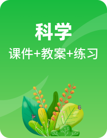 新苏教版四年级上册科学全册课件+习题+教案+电子课本教材高清PDF电子版