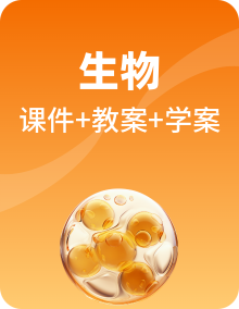 【新课标】冀少版生物八年级上学期PPT课件+教案+学案整套