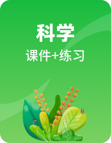 教科版（2017）三年级科学下册习题课件