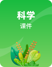 新冀人版科学三上PPT课件全册