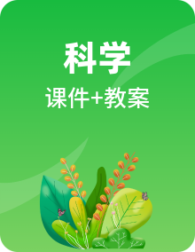 整套科学新教科版三年级下册备课PPT课件+教案+素材