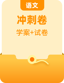 2023年小升初部编版语文阅读理解专项冲刺学案（含答案）